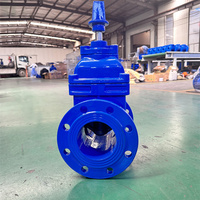 Vanne à vanne d'eau souterraine DN500-DN1200 en fonte Cale à tige non montante Cale en fonte ductile Étanchéité souple Manuel à bride