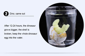 Regalo promocional para niños, cápsula de 1 pulgada, juguete de dinosaurio incubado, Mini para huevo, Dino, hecho de plástico, proveedor de Yiwu, juguete de animales en crecimiento - Product Image 5