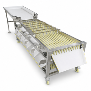 Máquina Clasificadora Multifuncional de Frutas y Verduras, Clasificadora de Tomates Cherry, Lichis, Azufres y Aceitunas por Tamaño - Product Image 1