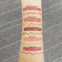 Vente en gros Crayons à lèvres OEM avec marqueur à pointe plate Ligne précise des lèvres Crayons à lèvres pour femmes