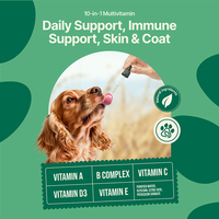 Suppléments liquides de nutrition médicale pour animaux de compagnie OEM/ODM avec multivitamines pour une fonction de soutien quotidienne en gouttes