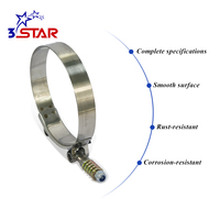 Collier de serrage européen en acier inoxydable à vis en T, largeur de bande 19 mm