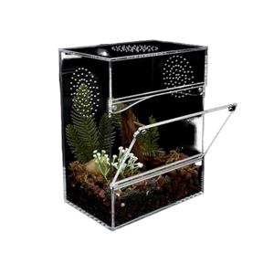 Novo Terrário Retangular de Acrílico para Répteis e Insetos, Gaiola para Aranha Saltadora, Camaleão e Lagarto, 1.0kg, Presente de Natal - Product Image 1