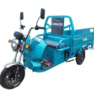 Высококачественный грузовой Электрический трехколесный велосипед, мощный Электрический взрослый трехколесный велосипед