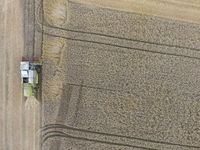 Moissonneuse-batteuse agricole GE40 sur roues, haute efficacité, pour la récolte du blé et du soja sur terres arides