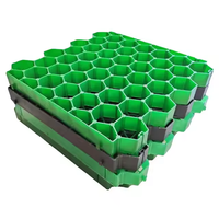 Grilles de pavage en HDPE imperméables pour le drainage des allées, tapis de pavage