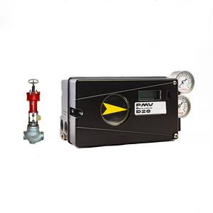 มีสินค้าในสต็อก PMV D20 ดิจิตอล พร้อมเซ็นเซอร์เซี่ยงไฮ้ เดียนเจียน - Product Image 2