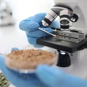 OEM inositol bổ sung Myo d-chiro inositol viên nang với folate Vitamin D hormone cân bằng cho phụ nữ hạnh phúc kích thích tố - Product Image 5