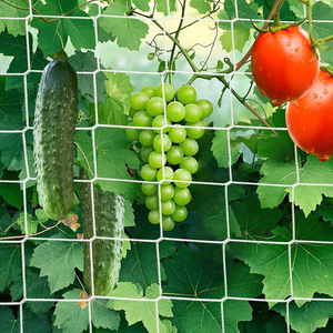 Filet de treillis moderne en PVC pour pois, haricots, tomates, concombres, poivrons, aubergines, courgettes, citrouilles - Utilisation en jardinage - Product Image 2