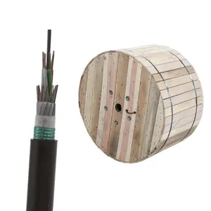 19 years fiber optic oem factory supply good price single mode Armored Aerial Duct GYTA 3 6 10 12 16 24 core cable