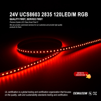 Bande de pixels LED RGB 120 LED 24V ultra-mince haute densité, programmable, double date, UCS8603 65536, gris, 8.0KHZ, numérique 16 bits