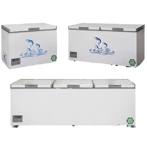 Congélateur coffre commercial à ouverture par le haut pour aliments surgelés, crèmes glacées et viandes – Vente directe usine – Économe <span class=keywords><strong>en</strong></span> énergie - Product Image 1