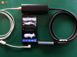 Vétérinaire <span class=keywords><strong>USB</strong></span> <span class=keywords><strong>Usg</strong></span> Instrument à ultrasons Portatil Scanner de grossesse Sonde rectale linéaire pour animaux Bovins Cheval - Product Image 2