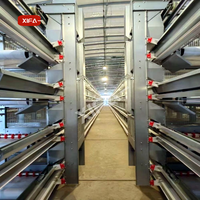 Système d'élevage avicole automatique, cage en métal pour poulets, canards, oies, usage commercial en ferme