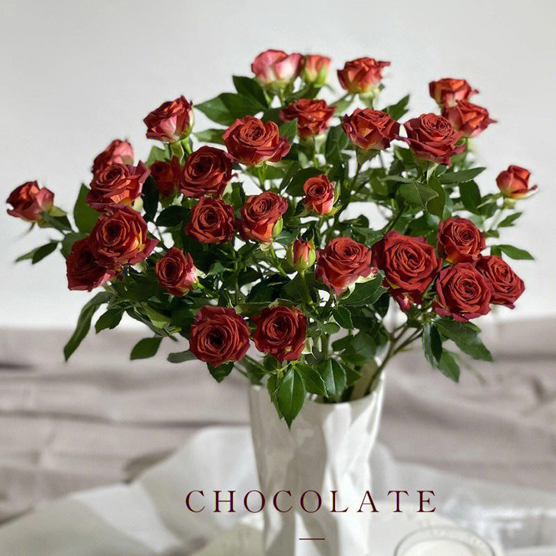 ช็อคโกแลต (ประโยชน์ของวันนี้)