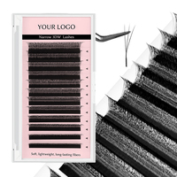 Extensions de cils en forme de W 0.07, 3D, 5D, 6D, 10D, pour débutants, marque privée, vente en gros