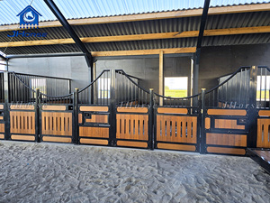 La stalle équine affronte l'équipement stable de stalle de cheval de luxe de revêtement de poudre - Product Image 6