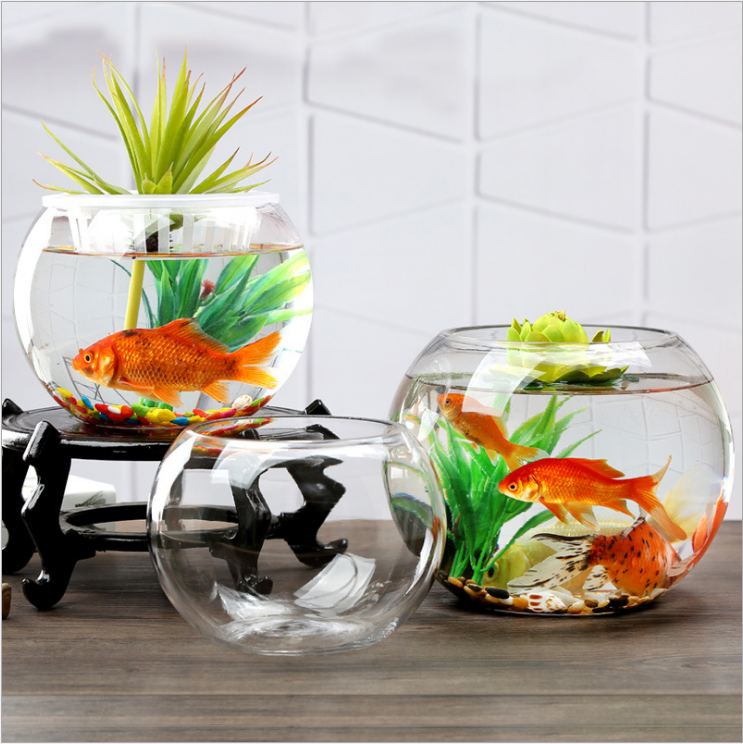 Spherical Glass Hanging Fish Bowl With Stand - 4.7 Inch Round Clear Plant Terrarium Or Aquarium