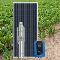 Pompe à eau solaire submersible CC 3 pouces 48V 72V 750W à haute pression pour l'approvisionnement en eau des puits profonds et des sources de montagne