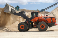 Pala Gommata Multifunzione da 12 Tonnellate DL580-5 con Benna da 5 Metri Cubi per Uso Agricolo e Edile