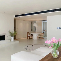 Micro ciment Vanlei pour peinture de bâtiment à la pointe de la technologie pour la plupart des surfaces murales et des sols