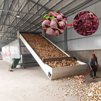 Industriële bieten droogmachine met commerciële heteluchtcirculatie, voedselveilige droogapparatuur voor fruit en kruiden