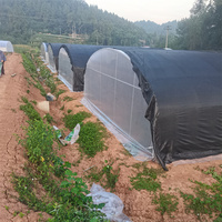 Champignon Culture Chanvre Agricole Tunnel à travée unique Maison Verte Champignon Shiitake Serre à vendre