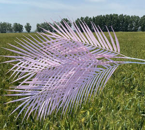 O-X489 a buon mercato all'ingrosso fiori artificiali decorazioni per la casa di nozze foglie di palma piante artificiali stelo lungo foglie di palma artificiali - Product Image 6