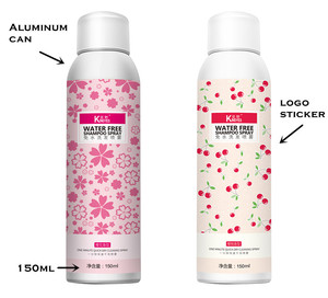 Champú <span class=keywords><strong>Seco</strong></span> en Aerosol Natural de Marca Privada al por Mayor Personalizado con el <span class=keywords><strong>Mejor</strong></span> Logotipo para Cabello Graso - Product Image 3
