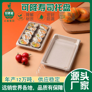 ถาดซูชิเยื่อชานอ้อย 164x89x21 มม. ย่อยสลายได้ เกรดอาหาร พร้อมฝาปิด กล่องอาหารกลางวันแบบใช้แล้วทิ้งรูปทรงสี่เหลี่ยมผืนผ้า - Product Image 5