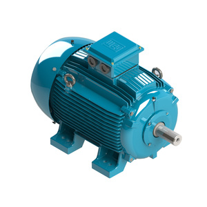 Motor Asíncrono Trifásico Estándar WEG W20, RPM 315kW, 50/60Hz, 380V CA, Eficiencia IE3, Protección IP55, Refrigeración TEFC, Fundición W20 C - Product Image 4