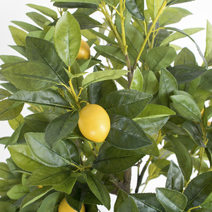 2024 Simulation plante d'intérieur avec des fruits avec Pot <span class=keywords><strong>citronnier</strong></span> décoration de la maison plante verte plateau plante Simulation arbre - Product Image 5