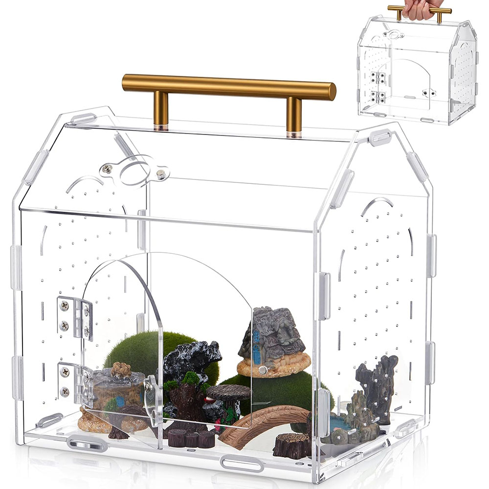 Transparent