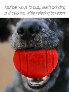 Solido elastico TPR cane giocattolo durevole interattivo Pet palla esplosivo modello fiore mordente masticare gatti eco-friendly - Product Image 2