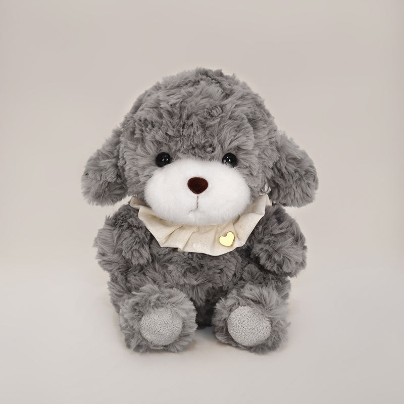 Chien Teddy gris