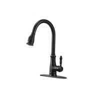 Keran Dapur Modern Hitam Matte Pegangan Tunggal dengan Semprotan Tarik, Kuningan Padat Putar 360 Derajat untuk Hotel & Kamar Mandi OEM
