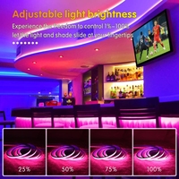 Aglare Bande de lumière LED Cob sans point IP65 10mm de largeur 24V Bande de LED Smart Cob flexible de couleur personnalisée