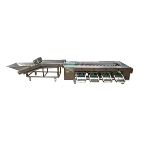 Convoyeur de tri automatique d'orange Peseuse Porteurs de fruits pour machines de tri Machine d'emballage et de tri d'agrumes - Product Image 1