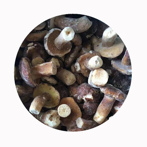Vendo cultivar <span class=keywords><strong>setas</strong></span> congeladas <span class=keywords><strong>Boletus</strong></span> Edulis precio - Product Image 6