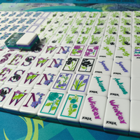 Conception originale d'usine, couches personnalisées avec 160 tuiles pour adultes, tuiles de mahjong américaines en acrylique, présentoir de mahjong en acrylique