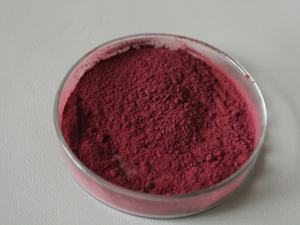 25% kızılcık özü tozu gıda sınıfı 100% suda çözünür Procyanidins <span class=keywords><strong>Bilberry</strong></span> <span class=keywords><strong>Proanthocyanidins</strong></span> - Product Image 2