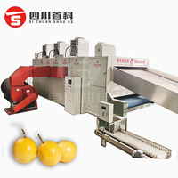 Séchage des chips de fruits séchés Ligne de production Séchoir à fruits avocat aubépine porc prune