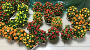 25Cm Nhân Tạo Cây Ăn Quả Táo Chanh Anh Đào Nhân Tạo Bonsai Cho Khách Sạn Nhà Trang Trí - Product Image 5