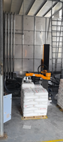 Désengaucheteuse 4 axes pour détergent (cendres de soude/sulfate), bras robotisé, 25-100 kg/sac, 120 sacs/h, servomoteur, guidée par vision, PLC