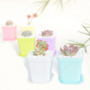 Wholesale modern Flower Pot Colored Mini Flowerpot Garden Unbreakable Plastic Nursery Pots for Succulent plants