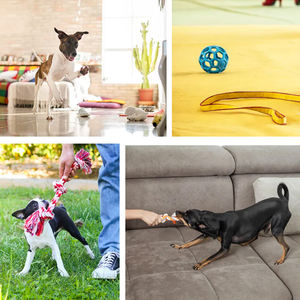 Açık eğitim için ayarlanabilir teleskopik çubuk paslanmaz çelik köpek ve kedi oyuncak interaktif flört oyuncak - Product Image 6