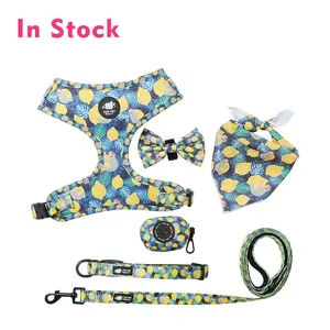 Pet Supplier private label personalized dog harness manufacturers uk adjustable wholesale luxury pet harness custom dog harness