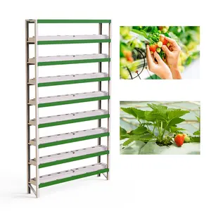 OMANA Warehouse or greenhouse indoor growing hydroponic vegetable kit system