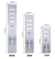 Lampadaire Solaire Tout-en-un 100W en Aluminium Moulé Sous Pression IP65 WP avec Panneau Mono et Batterie LiFePO4 pour Routes Rurales, Cours et Parkings