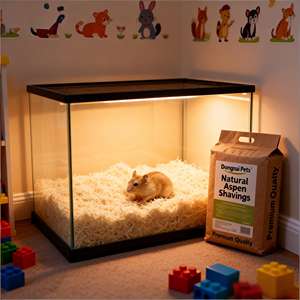 ดงไนพีทส์ ทรายแมวสำหรับสัตว์เลี้ยงขนาดเล็ก ทำจากไม้แอสเพนธรรมชาติ 100% เป็นมิตรต่อสิ่งแวดล้อม ดูดซับดีเยี่ยม ปราศจากฝุ่น น้ำหนัก 1 กก. รูปทรงแถบ - Product Image 1